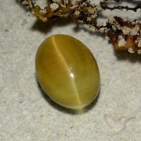 2.68캐럿 천연 흙빛 노란색 Cat's Eye Apatite, 타원형 컷, 9.1×6.7 mm, 투명한