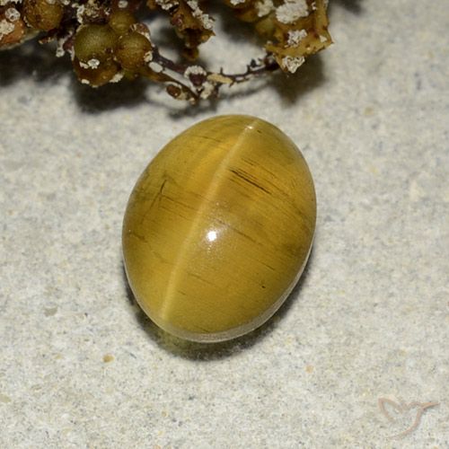 2.82ct 자연스러운 옐로우 브라운 캣츠아이 아파타이트, 타원형, 투명한