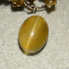 2.57캐럿 천연 녹빛 골든 Cat's Eye Apatite, 타원형 컷, 8.7×6.4 mm, 투명한
