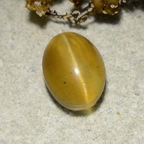 2.57캐럿 천연 녹빛 골든 Cat's Eye Apatite, 타원형 컷, 8.7×6.4 mm, 투명한