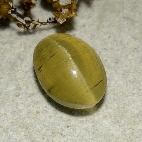 2.83캐럿 천연 골든 브라운 Cat's Eye Apatite, 타원형 컷, 9.4×6.8 mm, 투명한