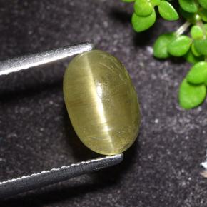 2.32캐럿 천연 뉴트럴 옐로우 캣츠아이 아파타이트, 타원형 컷, 투명한