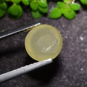 2.17캐럿 천연 흙빛 노란색 캣츠아이 아파타이트, 라운드 컷, 투명한