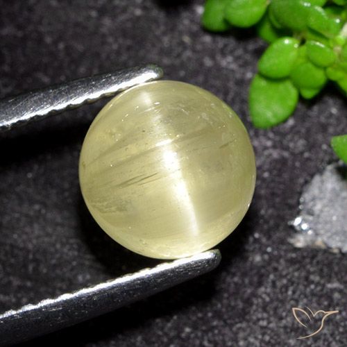 3.41ct 자연스러운 미디엄 옐로우 캣츠아이 아파타이트, 둥근, 투명한