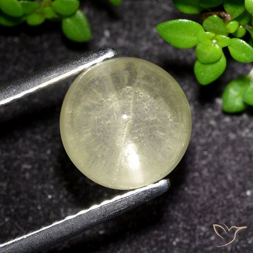 3.48ct 자연스러운 옅은 노랑 캣츠아이 아파타이트, 둥근, 투명한