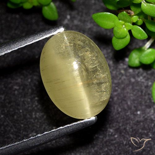 3.09ct 자연스러운 미디엄 옐로우 캣츠아이 아파타이트, 타원형, 투명한