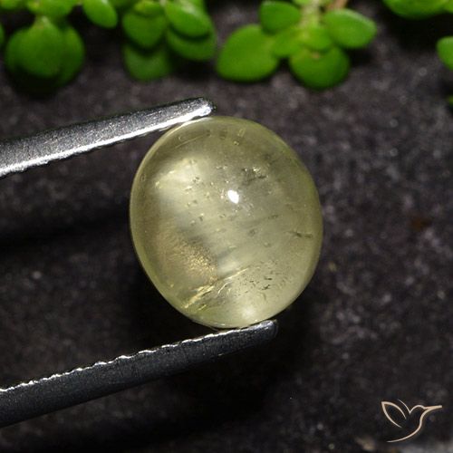 2.34ct 자연스러운 뉴트럴 옐로우 캣츠아이 아파타이트, 타원형, 투명한