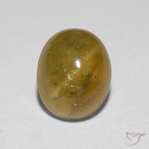 1.76ct 자연스러운 갈황색 캣츠아이 아파타이트, 타원형, 투명한