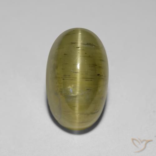 2.95ct 자연스러운 뉴트럴 옐로우 캣츠아이 아파타이트, 타원형, 투명한
