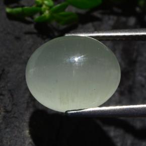 7.13캐럿 천연 라이트 그린 Cat's Eye Aquamarine, 타원형 컷, 12.2×9.8 mm, 투명한