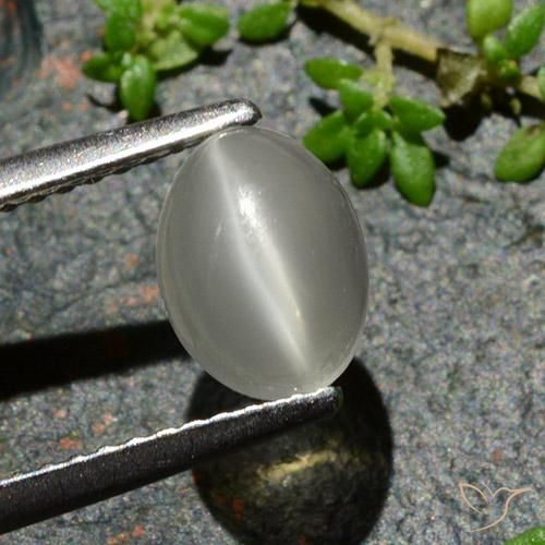 1.02ct 자연스러운 따뜻한 화이트 캣츠아이 문스톤, 타원형, 투명한