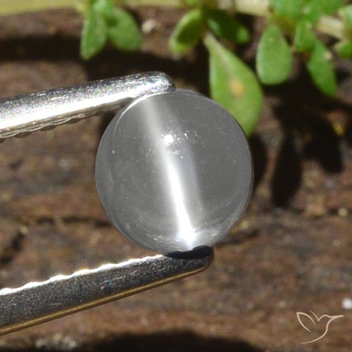 0.84ct 자연스러운 하얀색 캣츠아이 문스톤, 둥근, 투명한