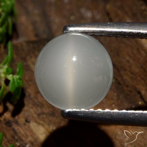2.09ct 자연스러운 따뜻한 화이트 캣츠아이 문스톤, 둥근, 투명한