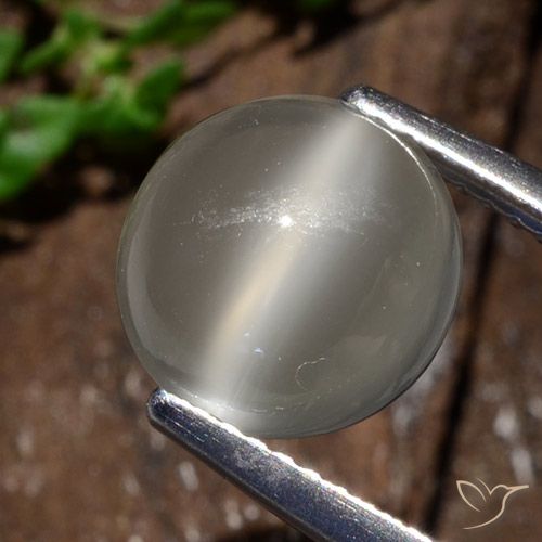 3.25ct 자연스러운 따뜻한 화이트 캣츠아이 문스톤, 둥근, 투명한