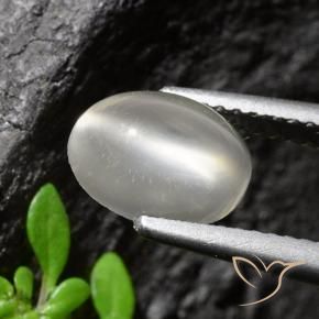 1.94캐럿 천연 하얀색 캣츠아이 문스톤, 타원형 컷, 투명한