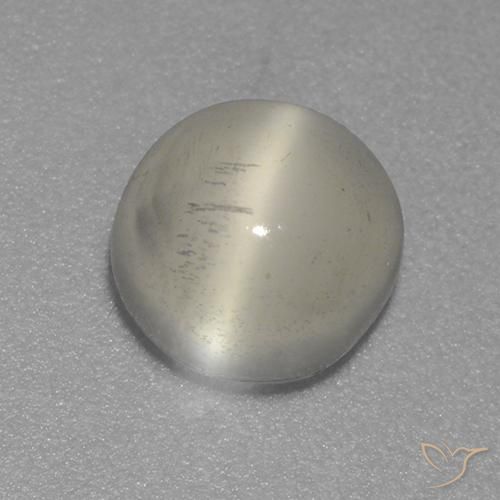 1.57ct 자연스러운 따뜻한 화이트 캣츠아이 문스톤, 둥근, 투명한