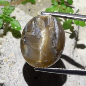 12.43캐럿 천연 연한 갈색 캣츠아이 오팔, 타원형 컷, 불투명체