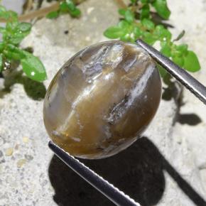 12.43캐럿 천연 연한 갈색 캣츠아이 오팔, 타원형 컷, 불투명체