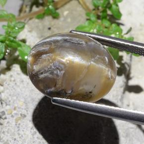 12.43캐럿 천연 연한 갈색 캣츠아이 오팔, 타원형 컷, 불투명체