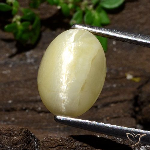 3.68ct 자연스러운 웜 오프 화이트 캣츠아이 오팔, 타원형, 불투명체