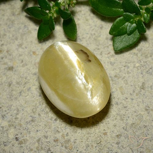3.65ct 자연스러운 크림 옐로우 캣츠아이 오팔, 타원형, 불투명체