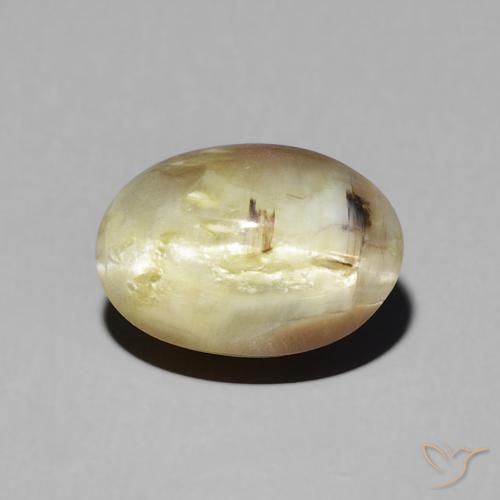 2.72ct 자연스러운 골든 브라운 캣츠아이 오팔, 타원형, 투명한