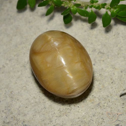 5.46ct 자연스러운 골든 캣츠아이 오팔, 타원형, 불투명체