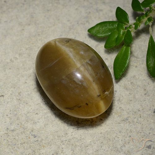 4.65ct 자연스러운 골든 브라운 캣츠아이 오팔, 타원형, 투명한