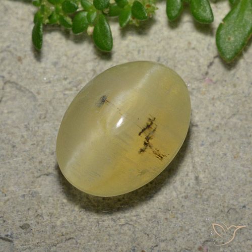 4.16ct 자연스러운 연노랑 캣츠아이 오팔, 타원형, 투명한