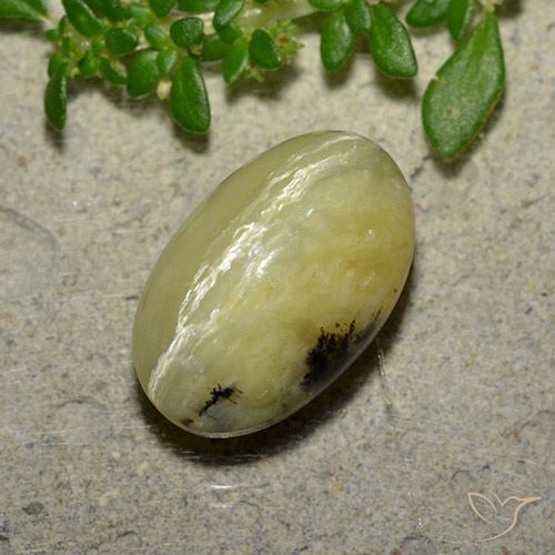 4.81ct 자연스러운 바나나 옐로우 캣츠아이 오팔, 타원형, 불투명체