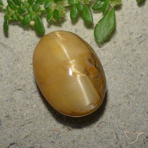 6.31ct 자연스러운 골든 브라운 캣츠아이 오팔, 타원형, 불투명체