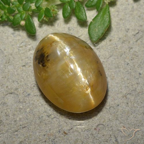 4.45ct 자연스러운 골든 오렌지 캣츠아이 오팔, 타원형, 투명한