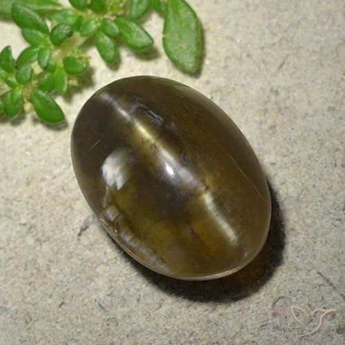 9.59ct 자연스러운 미디엄 다크 브라운 캣츠아이 오팔, 타원형, 투명한