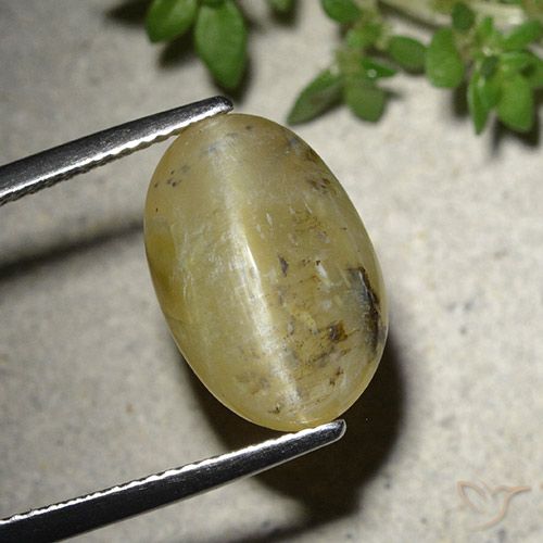 7.86ct 자연스러운 미디엄 옐로우 캣츠아이 오팔, 타원형, 투명한
