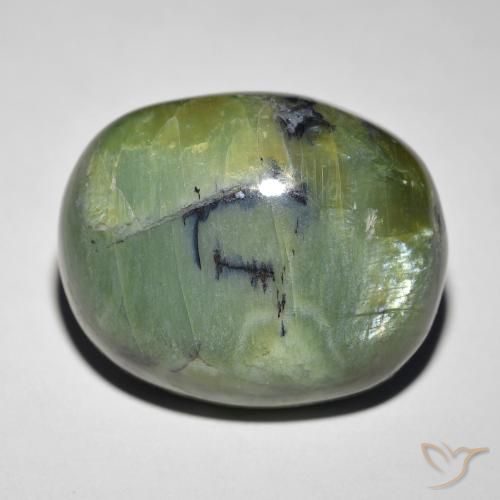 18.89ct 자연스러운 어스 그린 캣츠아이 오팔, 타원형, 불투명체