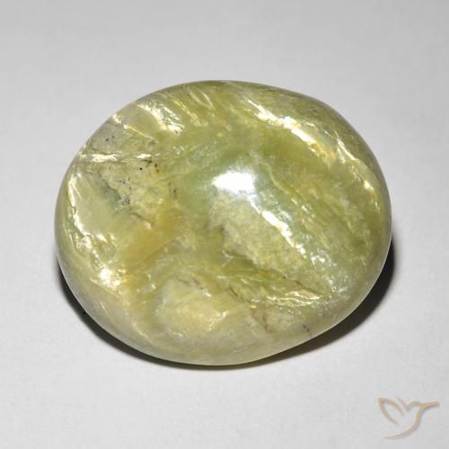 9.84ct 자연스러운 따뜻한 포레스트 그린 캣츠아이 오팔, 타원형, 불투명체