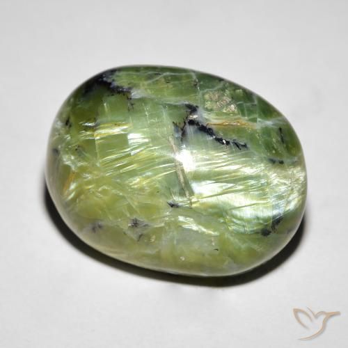14.55ct 자연스러운 미디엄 그린 캣츠아이 오팔, 타원형, 불투명체