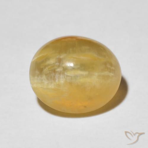 3.37ct 자연스러운 미디엄 골드 캣츠아이 오팔, 타원형, 불투명체