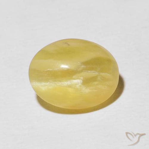 2.65ct 자연스러운 골든 옐로우 캣츠아이 오팔, 타원형, 불투명체