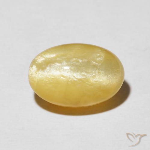 6.04ct 자연스러운 미디엄 골드 캣츠아이 오팔, 타원형, 불투명체