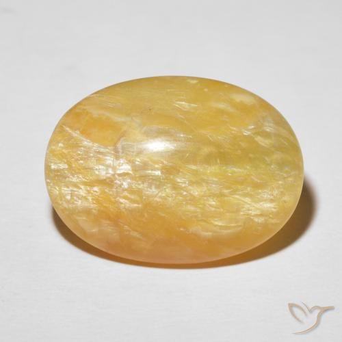 19.78ct 자연스러운 미디엄 골드 캣츠아이 오팔, 타원형, 불투명체