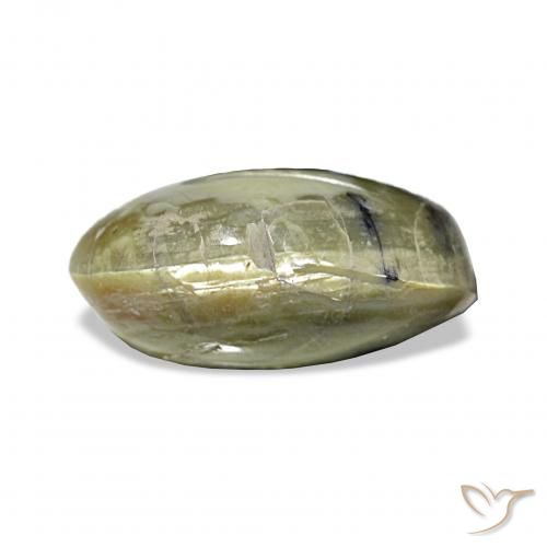3.02ct 황록색 캣츠아이 오팔, 타원형, 불투명체