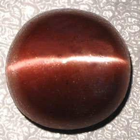 4.26캐럿 천연 다크 브라운 Cat's Eye Scapolite, 타원형 컷, 10.3×10.2 mm, 불투명체