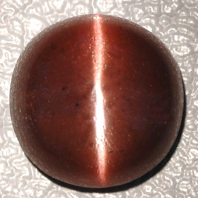 4.26캐럿 천연 다크 브라운 Cat's Eye Scapolite, 타원형 컷, 10.3×10.2 mm, 불투명체
