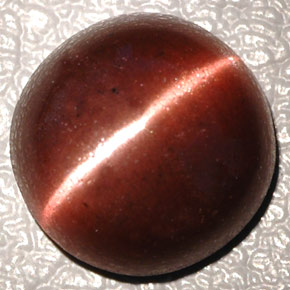 4.26캐럿 천연 다크 브라운 Cat's Eye Scapolite, 타원형 컷, 10.3×10.2 mm, 불투명체