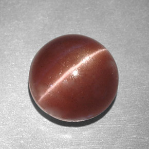 2.78캐럿 천연 브라운 Cat's Eye Scapolite, 라운드 컷, 8.16 mm, 불투명체