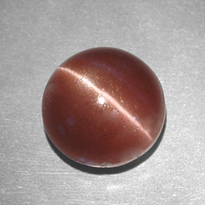 2.78캐럿 천연 브라운 Cat's Eye Scapolite, 라운드 컷, 8.16 mm, 불투명체