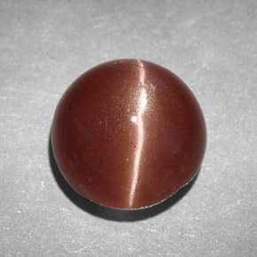 2.78캐럿 천연 브라운 Cat's Eye Scapolite, 라운드 컷, 8.16 mm, 불투명체