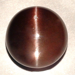 11.06캐럿 천연 다크 브라운 Cat's Eye Scapolite, 라운드 컷, 13.87 mm, 투명한