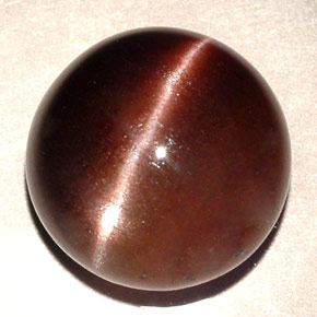 11.06캐럿 천연 다크 브라운 Cat's Eye Scapolite, 라운드 컷, 13.87 mm, 투명한